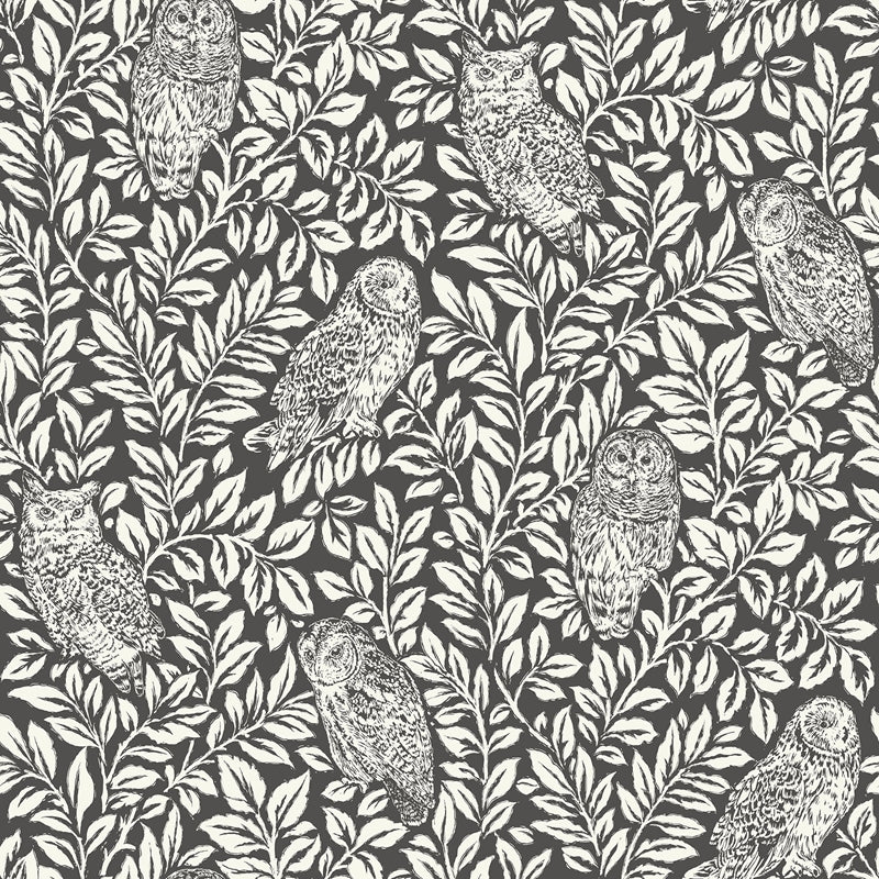 Sample NUS3625 Charcoal Sleepy Owls, Birds Peel and Stick Wallpaper