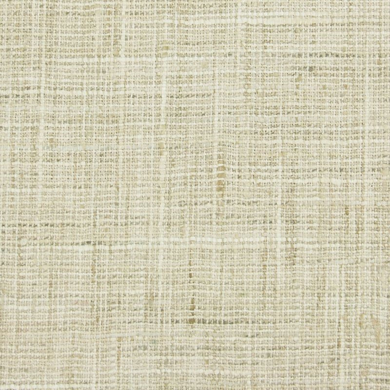 Sample RENZ-12 Renzo, Bamboo Stout Fabric
