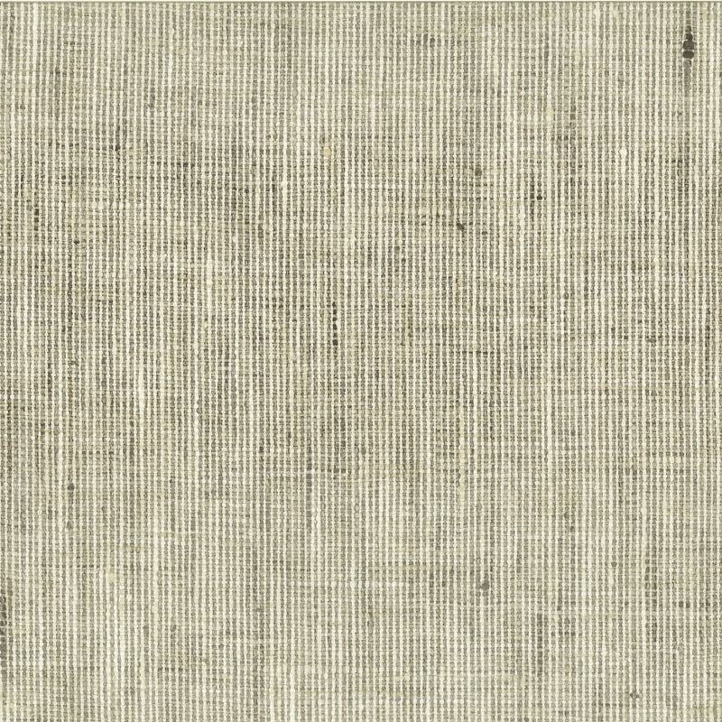 Sample REMB-1 Rembrandt 1 Nickel by Stout Fabric