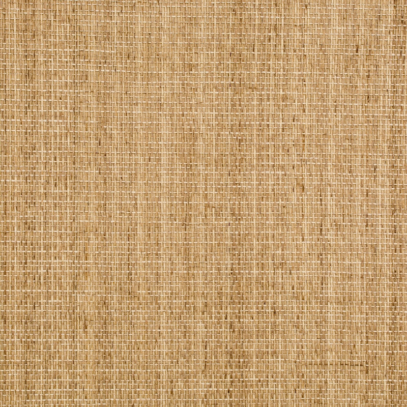 Buy P8015145.16 Niyodo Beige by Brunschwig Fils