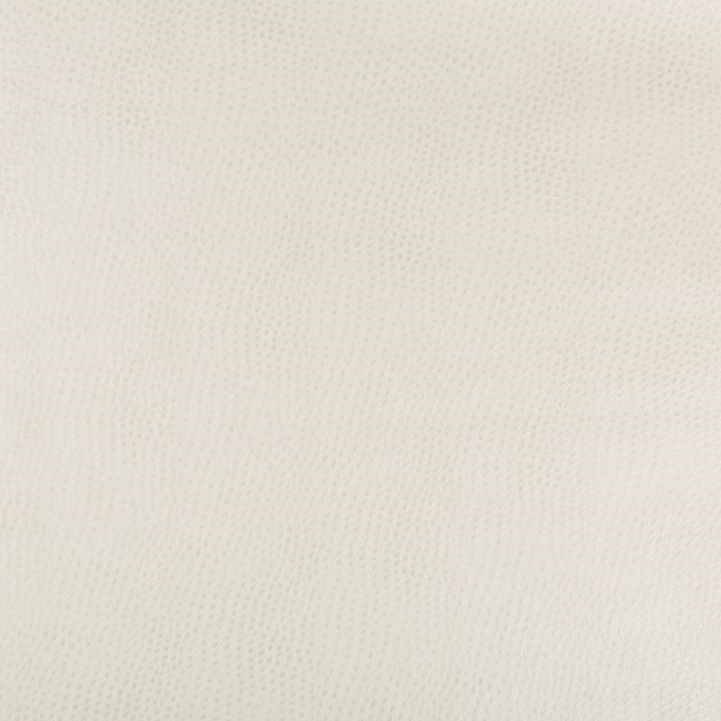 Looking HUBBLE.111.0  Solids/Plain Cloth White by Kravet Design Fabric