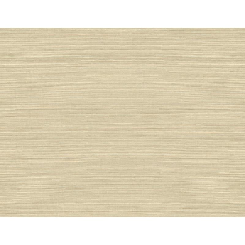 Sample 2765-BW41007 GeoTex, Agena Beige Sisal by Kenneth James Wallpaper