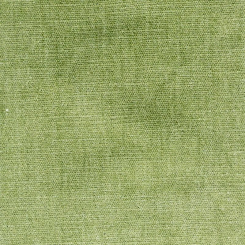 Sample Boun-1 Bountiful 1 Pistachio By Stout Fabric