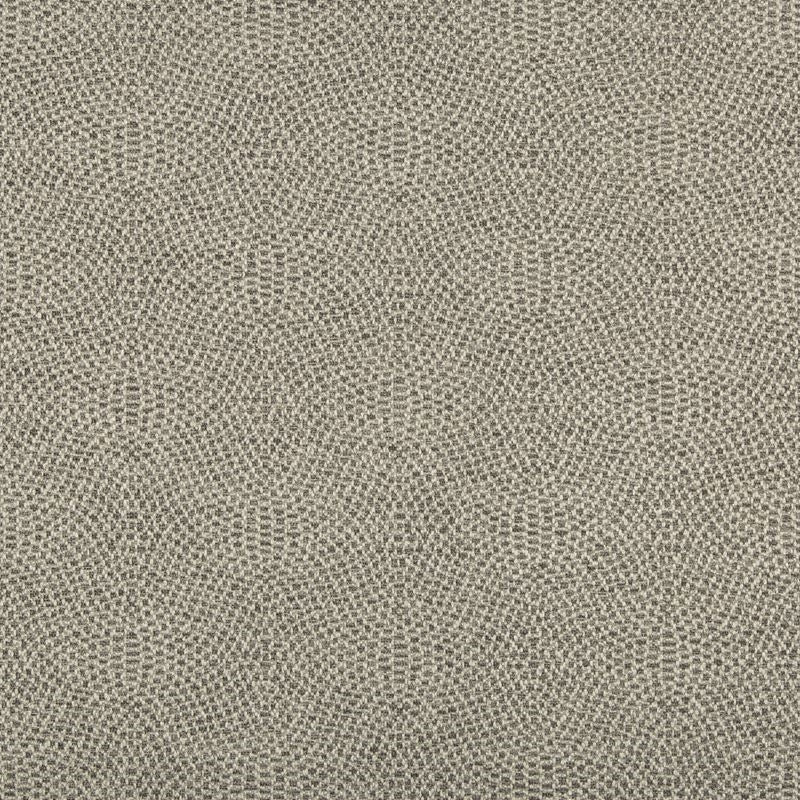 Looking 35699.11.0 Grey Modern/Contemporary by Kravet Fabric Fabric