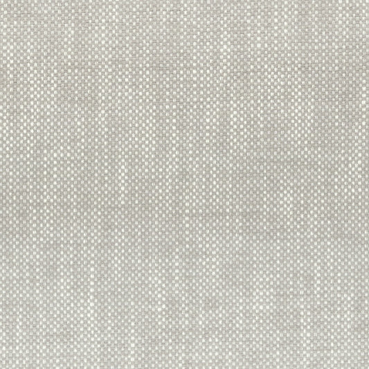 Find PANI-4 Panic 4 Cement by Stout Fabric
