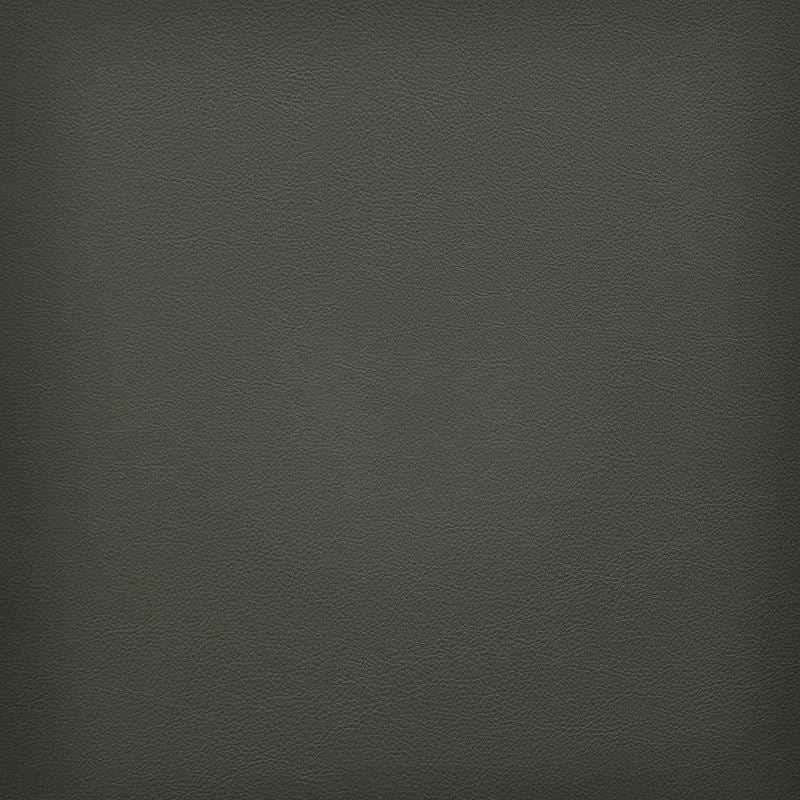 VA3248 | Vesper Bedrock by Maxwell Fabric