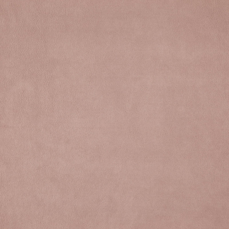 Sample WISDOM 41J7531 by JF Fabric