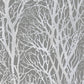 Shop 4035-30094-3 Windsong Yasuo Grey Tree Branch Wallpaper Grey by Advantage