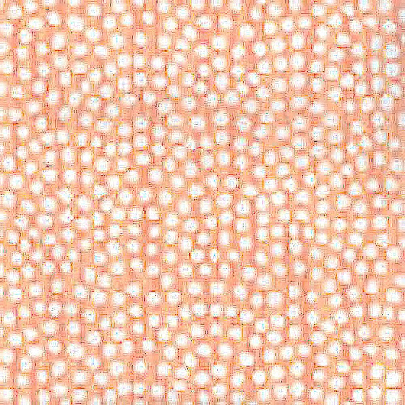 Looking AP709-8 Mojave Corals by Quadrille Wallpaper