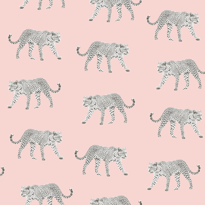 Sample DD139177 Design Department, Prowl Pink Jaguars Wallpaper by Brewster