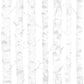 Search 4060-138944 Fable Birdie Grey Birch Wallpaper Grey by Chesapeake Wallpaper
