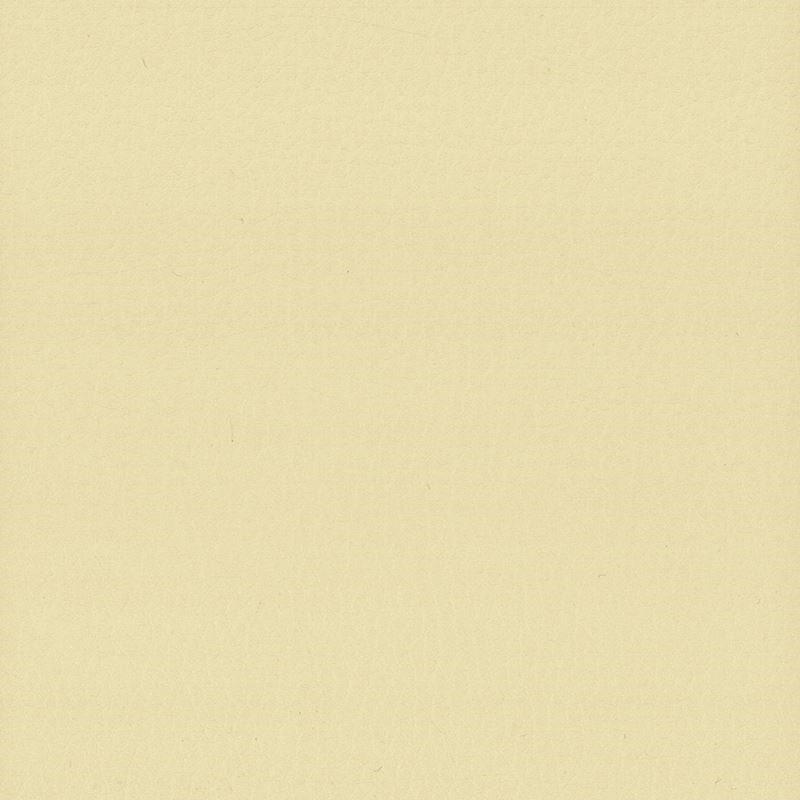 Sample LODG-9 Lodge, Chamois Stout Fabric