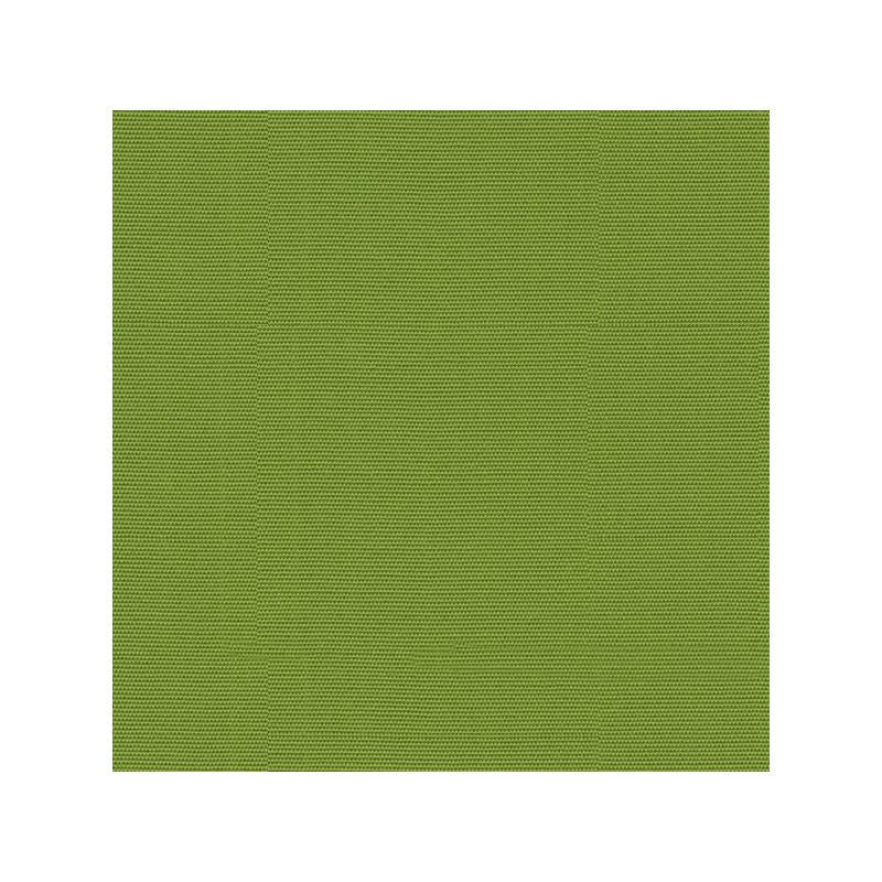 Find GR-54011-0000.0.0 Canvas Ginkgo Solids/Plain Cloth Light Green by Kravet Design Fabric