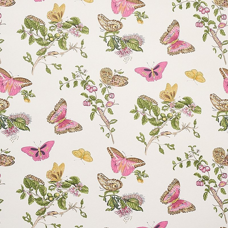 Order 5010690 Baudin Butterfly Blush Schumacher Wallcovering Wallpaper