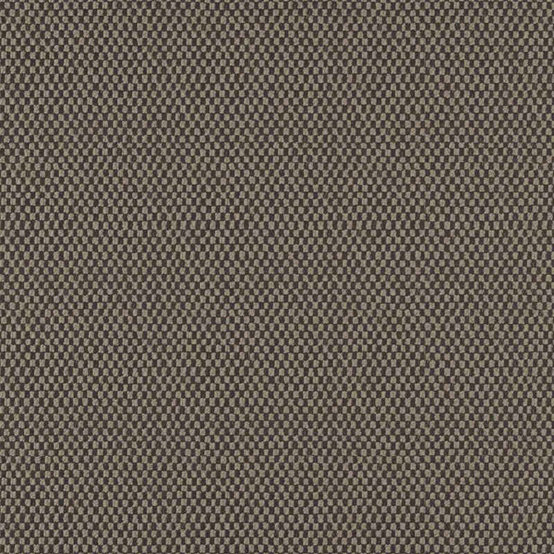 TQ9607 | Take Off Chocolate by Maxwell Fabric