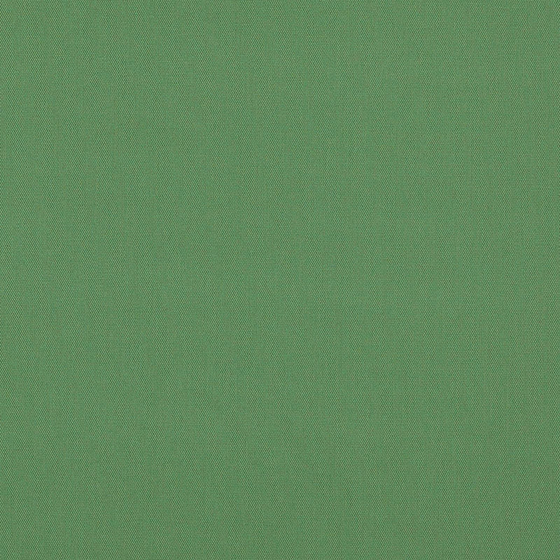 Purchase sample of 69542 Elliott, Pesto by Schumacher Fabric