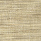 Sample CONW-2 Mushroom by Stout Fabric