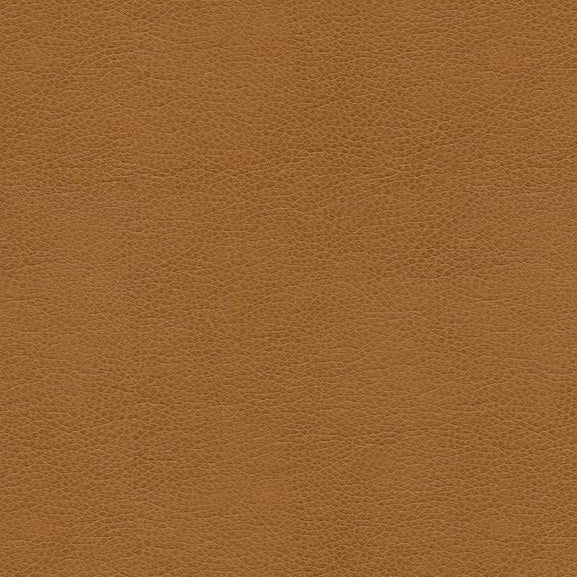 Shop BALARA.16.0  Solids/Plain Cloth Camel by Kravet Contract Fabric