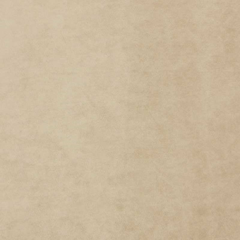 Select A9 00019300 Project Water Repellent Ivory by Aldeco Fabric