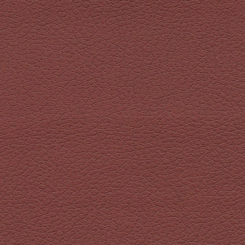 Purchase sample of 303-1373 Brisa, Raisin by Schumacher Fabric