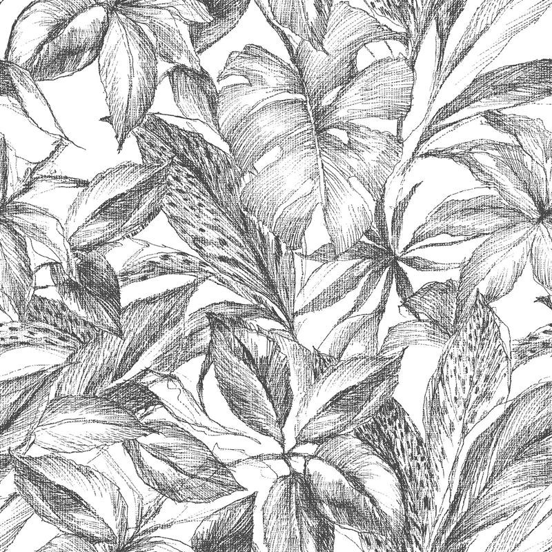 Sample NUS3498 Black Canopy, Leaves Peel and Stick Wallpaper