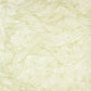 Sample 2871-88717 Selvaggia, Abruzzo Cream Wolf Wave by Brewster Wallpaper