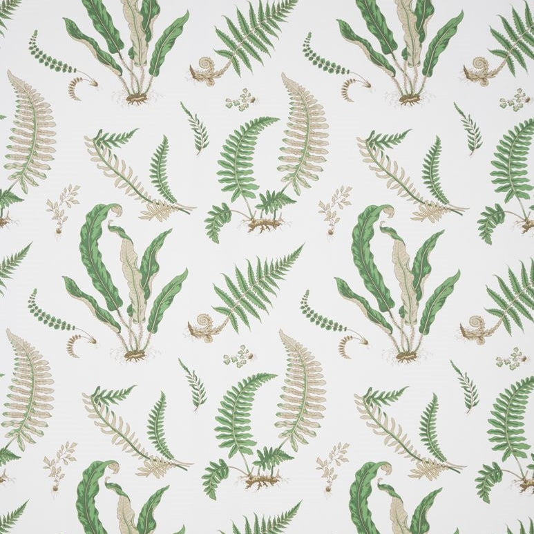 Buy 0310321 multipurpose lee jofa fabric Fabric