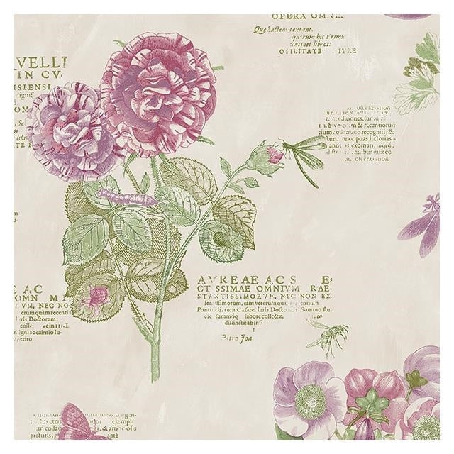 Acquire PA34247 Paradise Pink Floral Wallpaper by Norwall Wallpaper