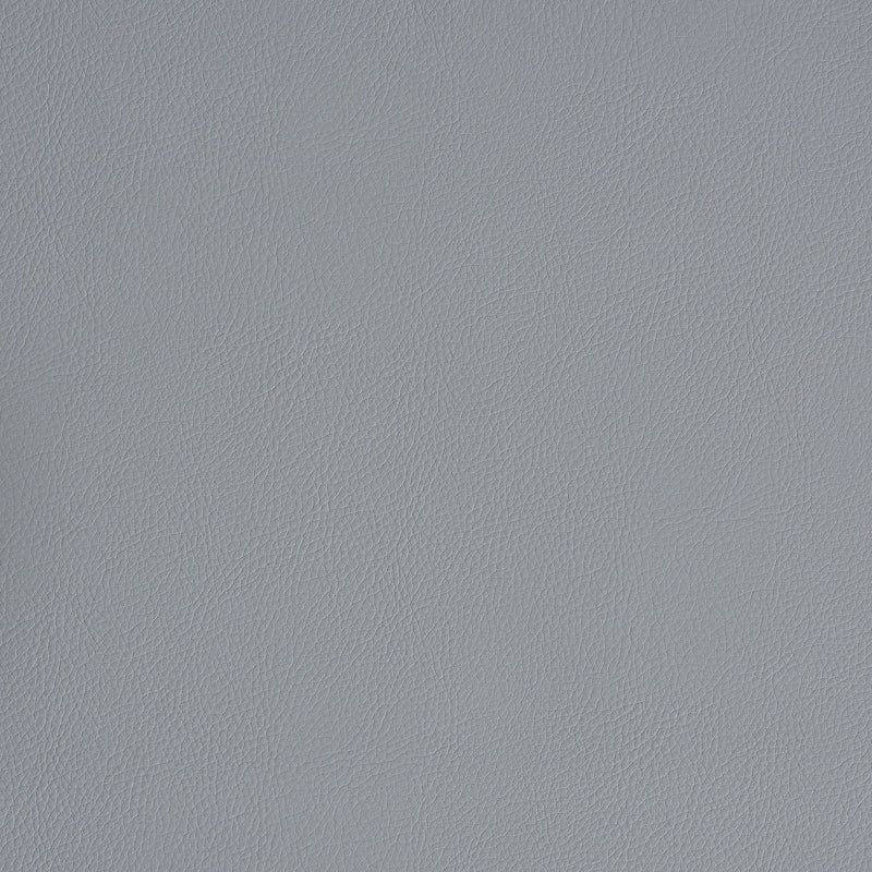 Purchase sample of 79555 Indoor/Outdoor Vegan Leather, Slate by Schumacher Fabric