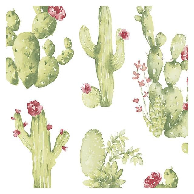 Search CK36630 Creative Kitchens Cactus  by Norwall Wallpaper