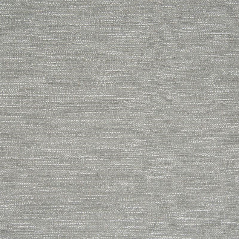 B8040 Mica | Metallic, Woven - Greenhouse Fabric