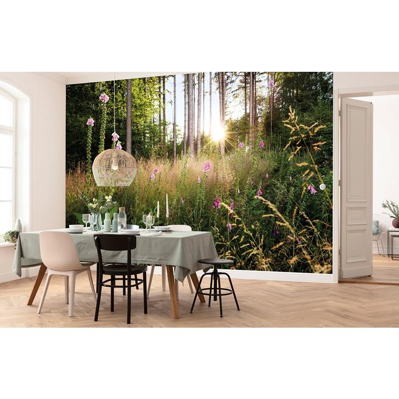 X7-1005 Colours  Summer Glade Wall Mural by Brewster,X7-1005 Colours  Summer Glade Wall Mural by Brewster2