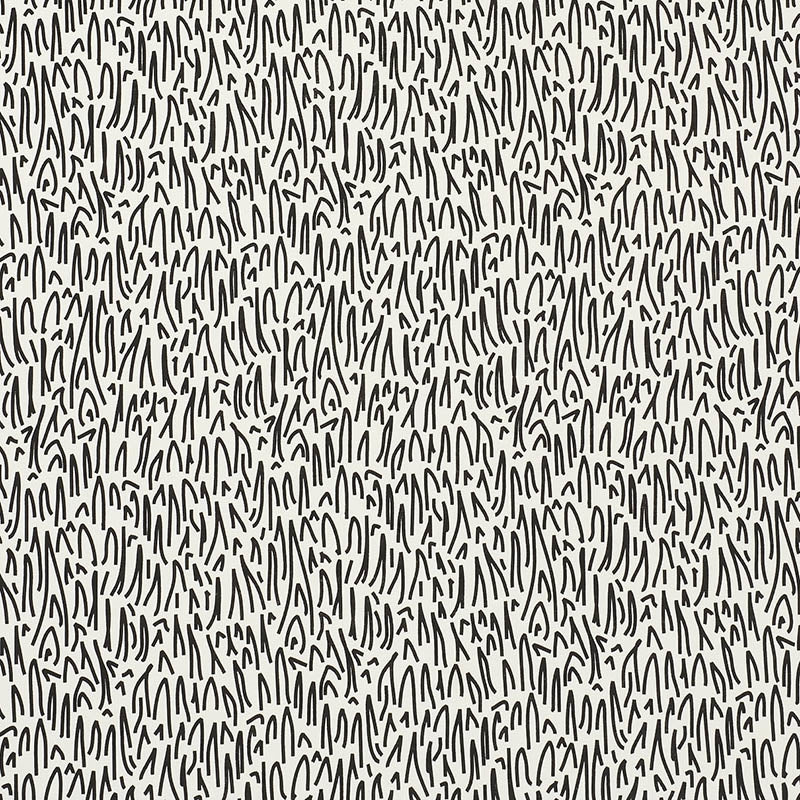 Purchase sample of 176602 Grass Ii, Black by Schumacher Fabric