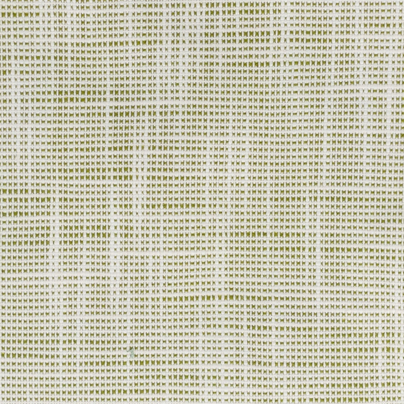 Sample Fame-3 Fame 3 Seedling By Stout Fabric