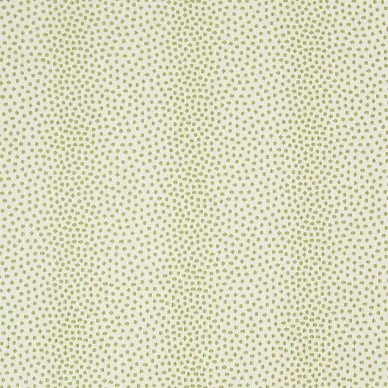 Shop 34748.13.0  Animal/Insects White by Kravet Contract Fabric