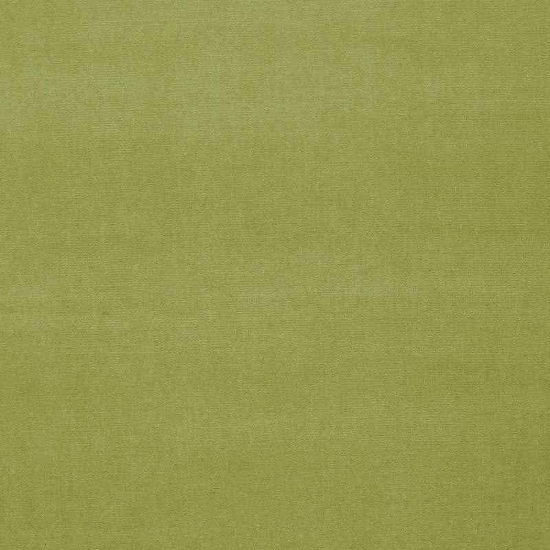 Purchase sample of 42864 Gainsborough Velvet, Celery by Schumacher Fabric
