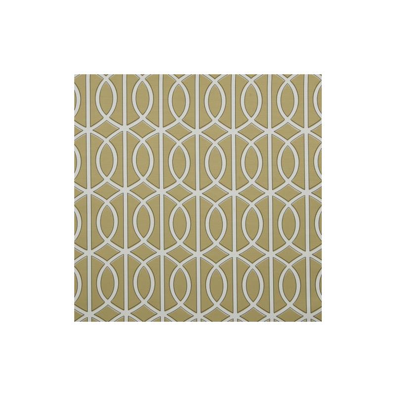 217884 | Grand Gate | 502-Camel - Robert Allen Contract Fabric