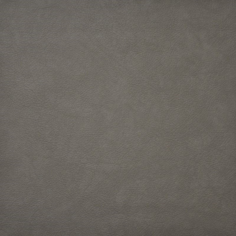 Sample HG6702 Hidalgo Mushroom by Maxwell