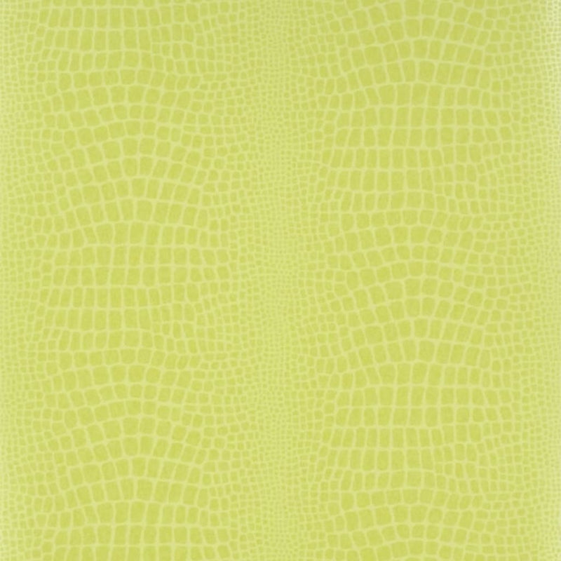 Shop P544/13 Pietra Grass by Designer Guild Wallpaper