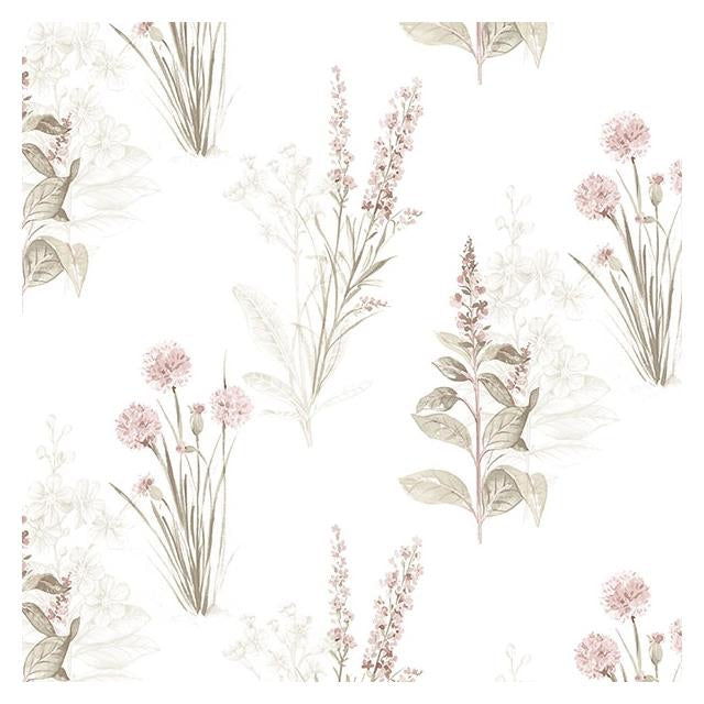 Select AF37715 Flourish (Abby Rose 4) Pink Flora Wallpaper in Pink Khaki & Grey by Norwall Wallpaper