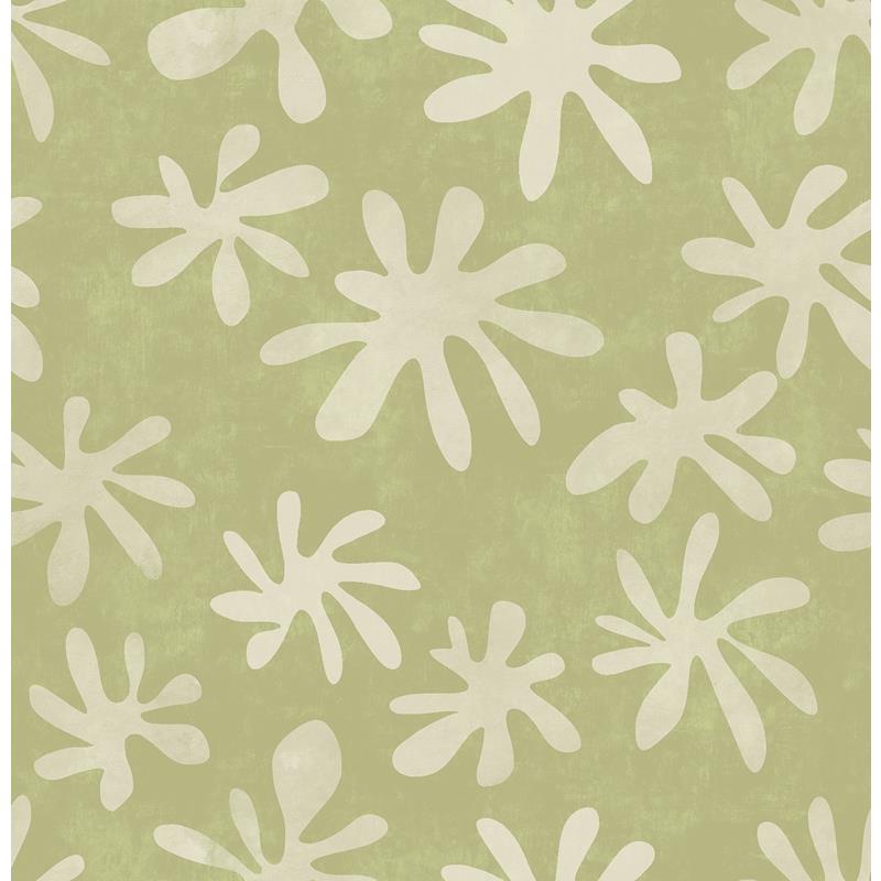 Looking AHS4719 Alja Horvat Sage Field of Flowers Peel & Stick Wallpaper Sage by NuWallpaper