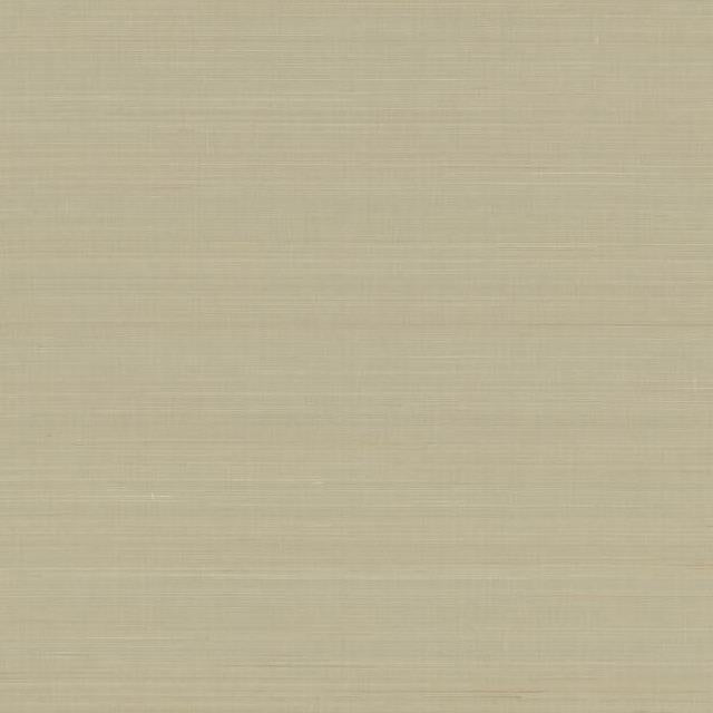 Looking OG0621 Elegant Earth Abaca Weave Beige Antonina Vella Wallpaper