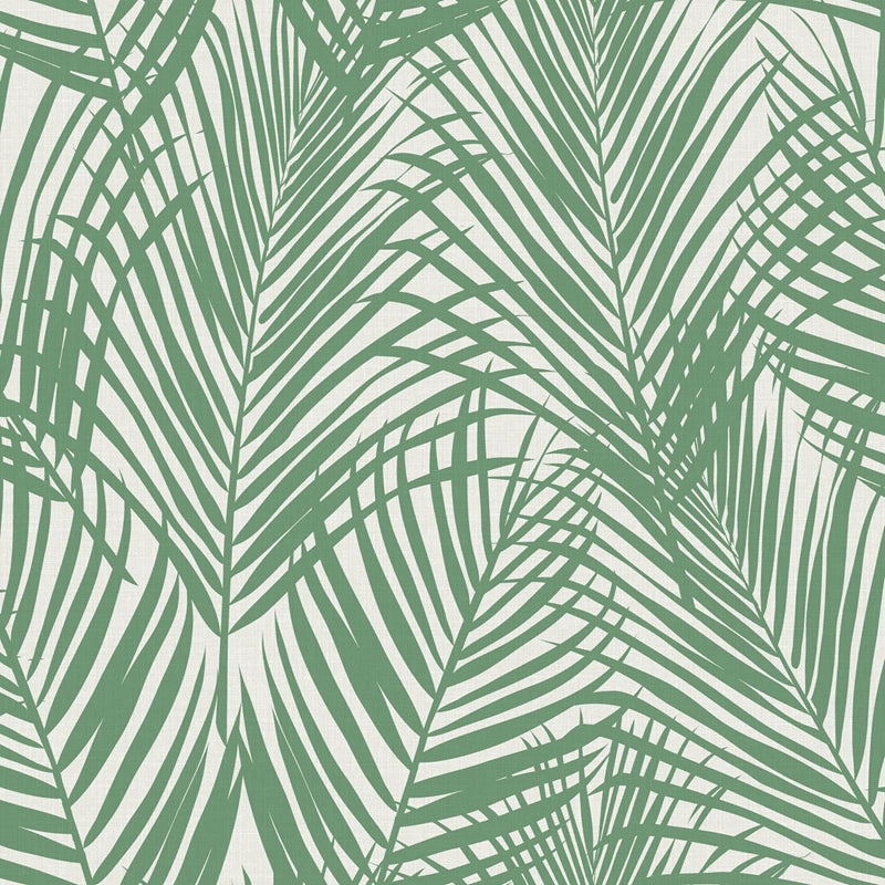 Sample DD139007 Design Department, Fifi Green Palm Frond Wallpaper by Brewster