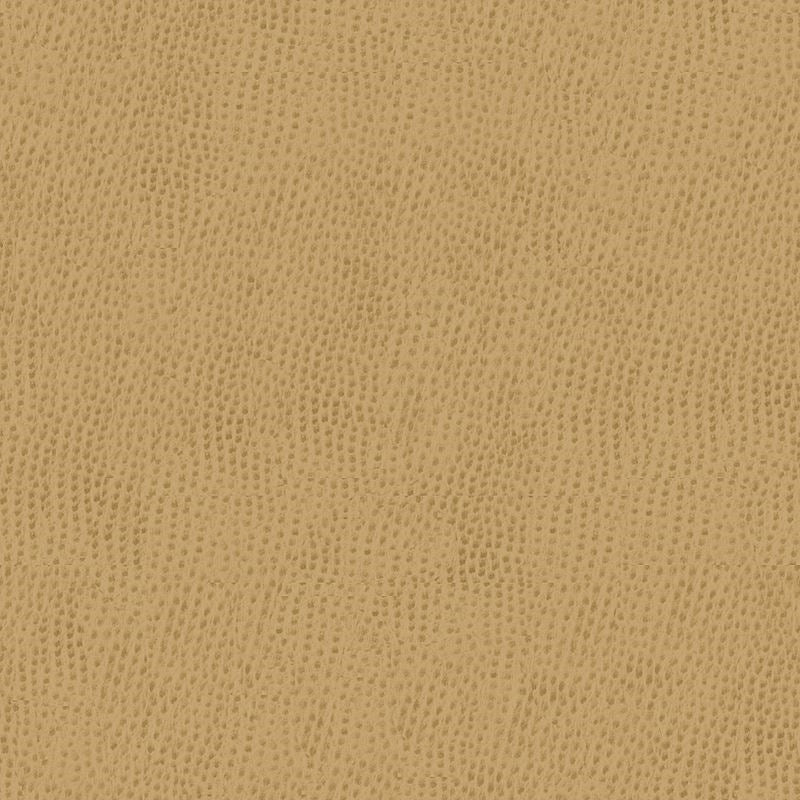 Purchase BELUS.1616.0  Skins Beige by Kravet Contract Fabric