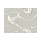 Sample BW3872 Soaring Cranes, Black and White Resource Library by York Wallpaper