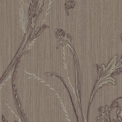 Shop CB10409 Albany Gray Acanthus Leaves by Carl Robinson Wallpaper