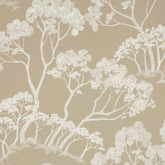 Search 5007983 Timber ! Natural Schumacher Wallpaper