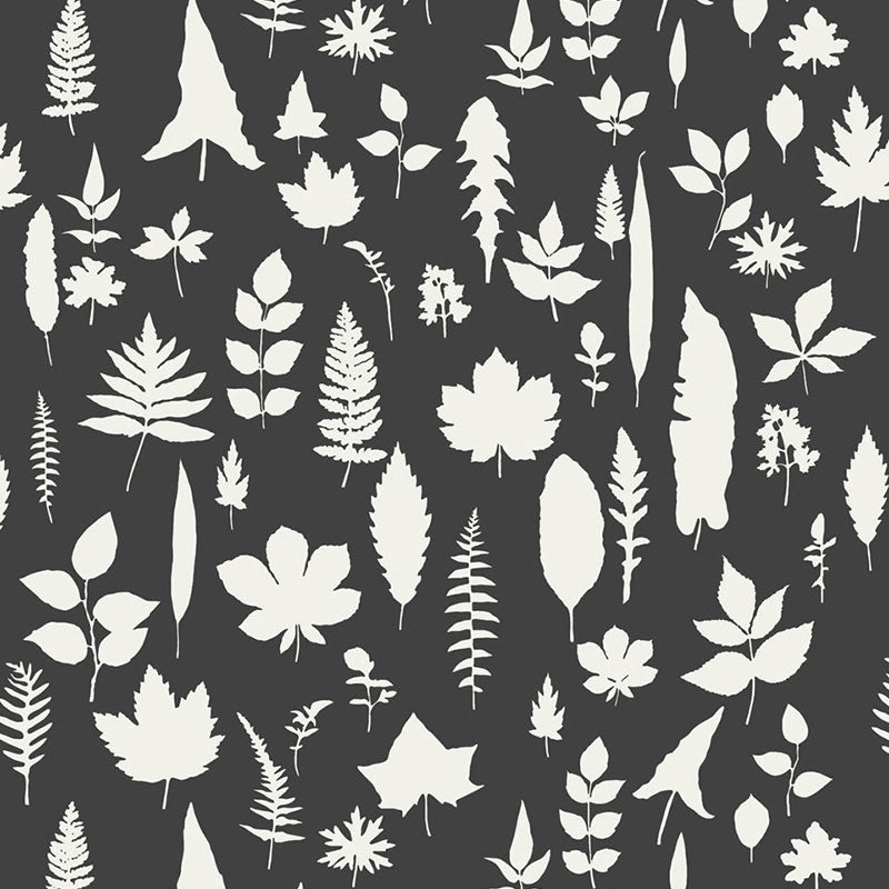 Buy 5005023 Leaves Graphite Schumacher Wallpaper