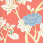 Sample 306063W Happy Garden, Rust Orange On White by Quadrille Wallpaper