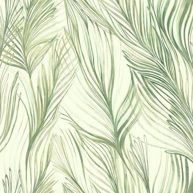 Purchase NA0500 Botanical Dreams Peaceful Plume Green by Candice Olson Wallpaper